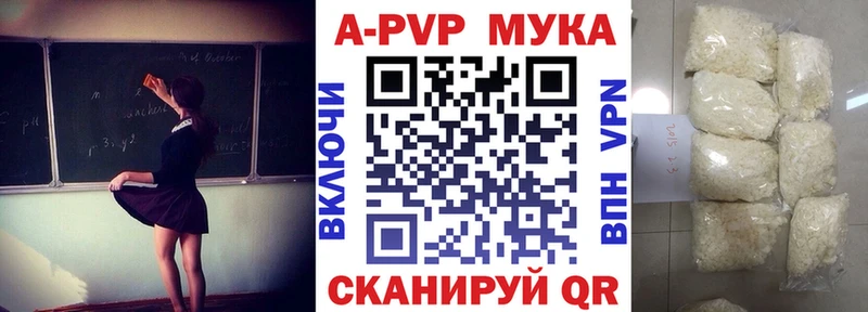 APVP СК  ОМГ ОМГ вход  Новая Ладога 