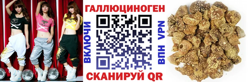 Галлюциногенные грибы мухоморы  наркота  Новая Ладога 